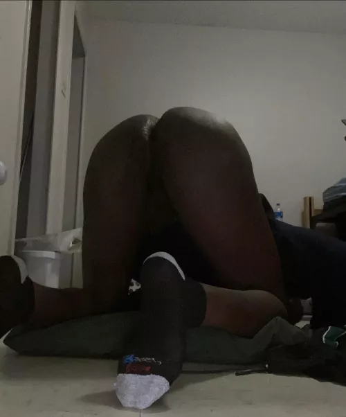 Breeding time by Fluid_Childhood4957