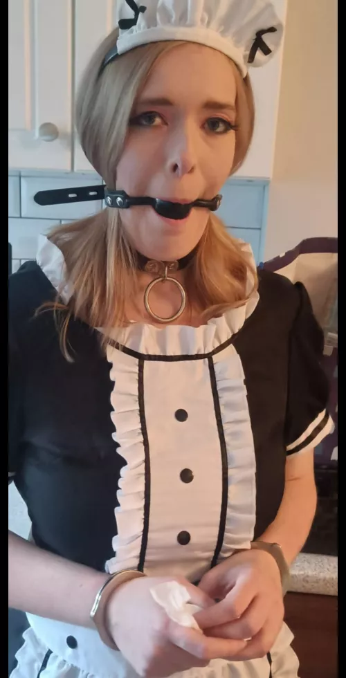 Collared and ready to serve by ArticFoxie1