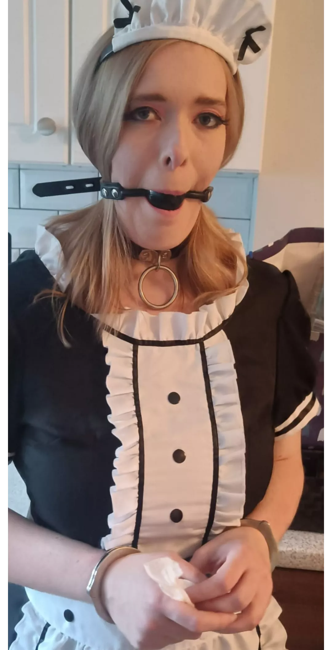 Collared and ready to serve posted by ArticFoxie1