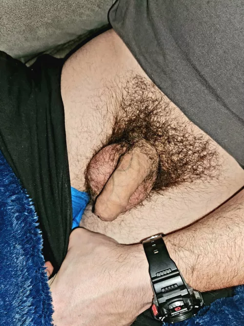 It's not much but it works.. by Ok-Entrepreneur5288