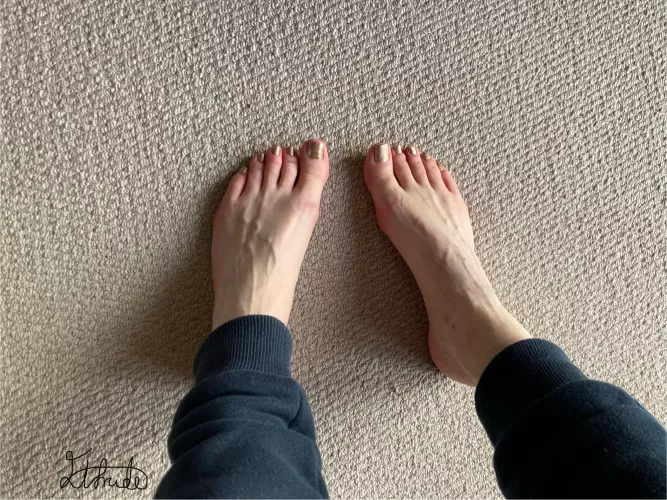 Light and shade  by Elfrida77