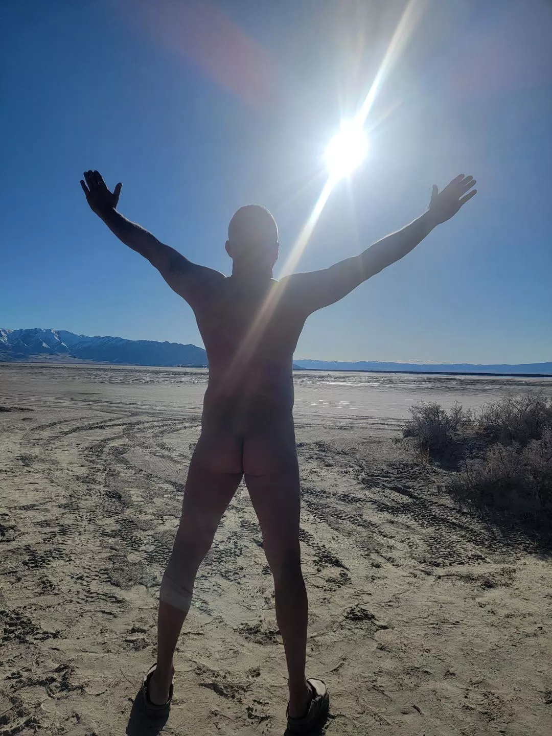 Loving the warm sun, common spring.  posted by Resident-Try-9456