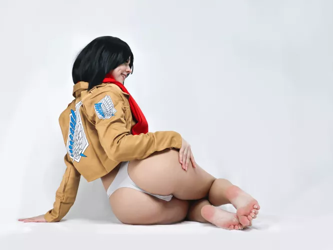 Mikasa [AOT] (Fairy Elfie) by CharmingMistress