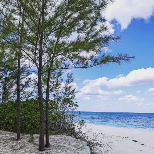 Munjack Cay, Bahamas...picture perfect day by sultry_fantasy