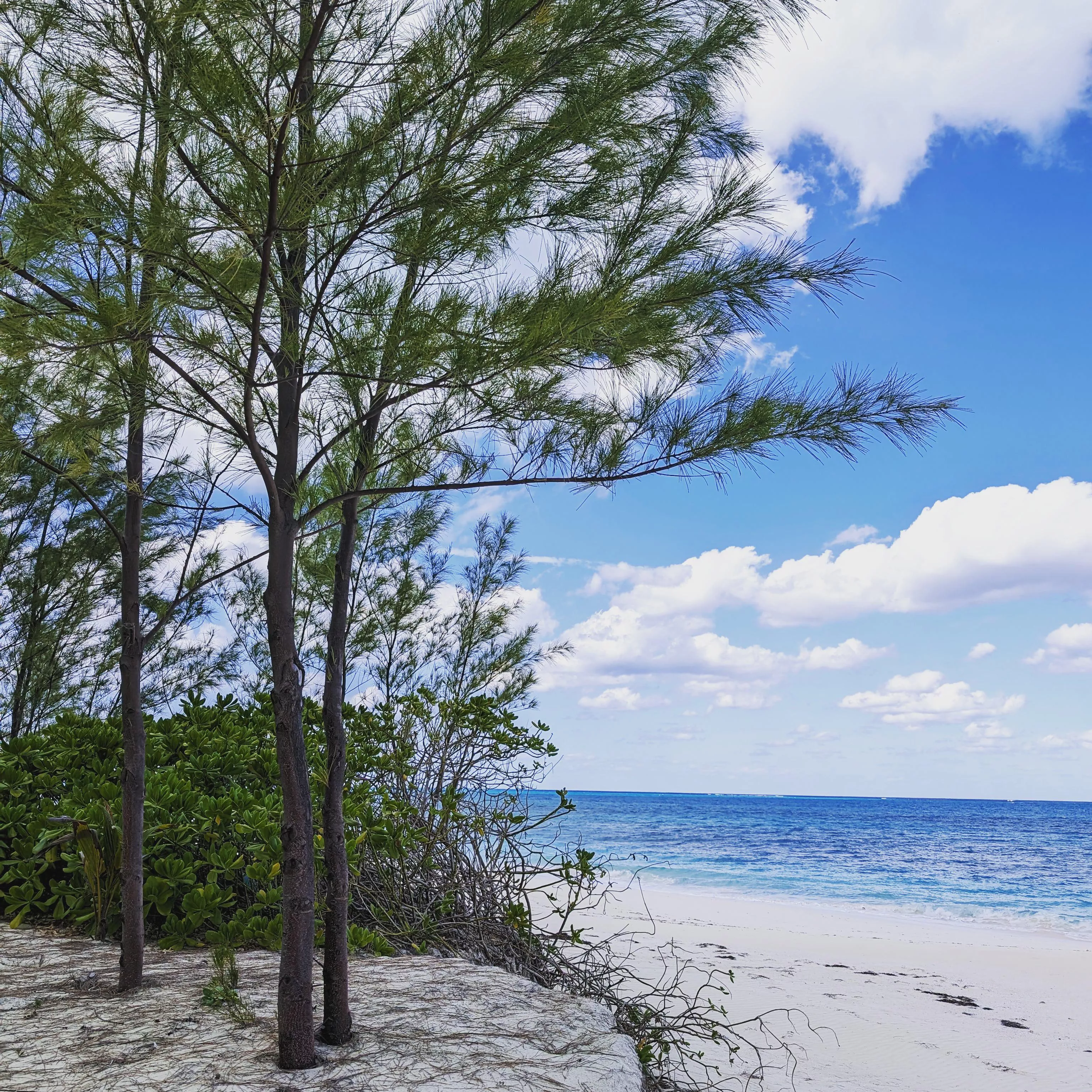 Munjack Cay, Bahamas...picture perfect day posted by sultry_fantasy