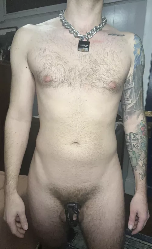 My hole is hungrier when my cock is caged. 🔐😈 by ImpressionFearless16