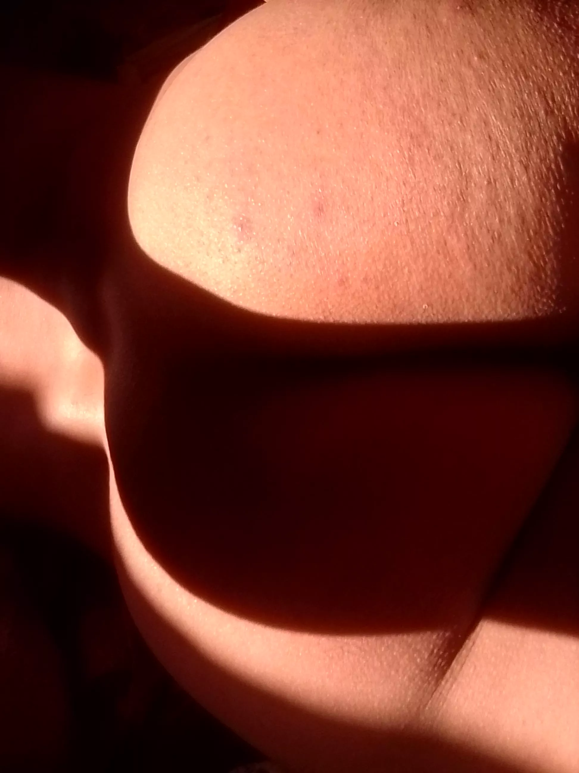 Need another Transgender Girl to Cum in my TGirl Ass posted by Local-Society5686