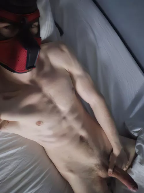 New pup 🐶🙈 by Guay97