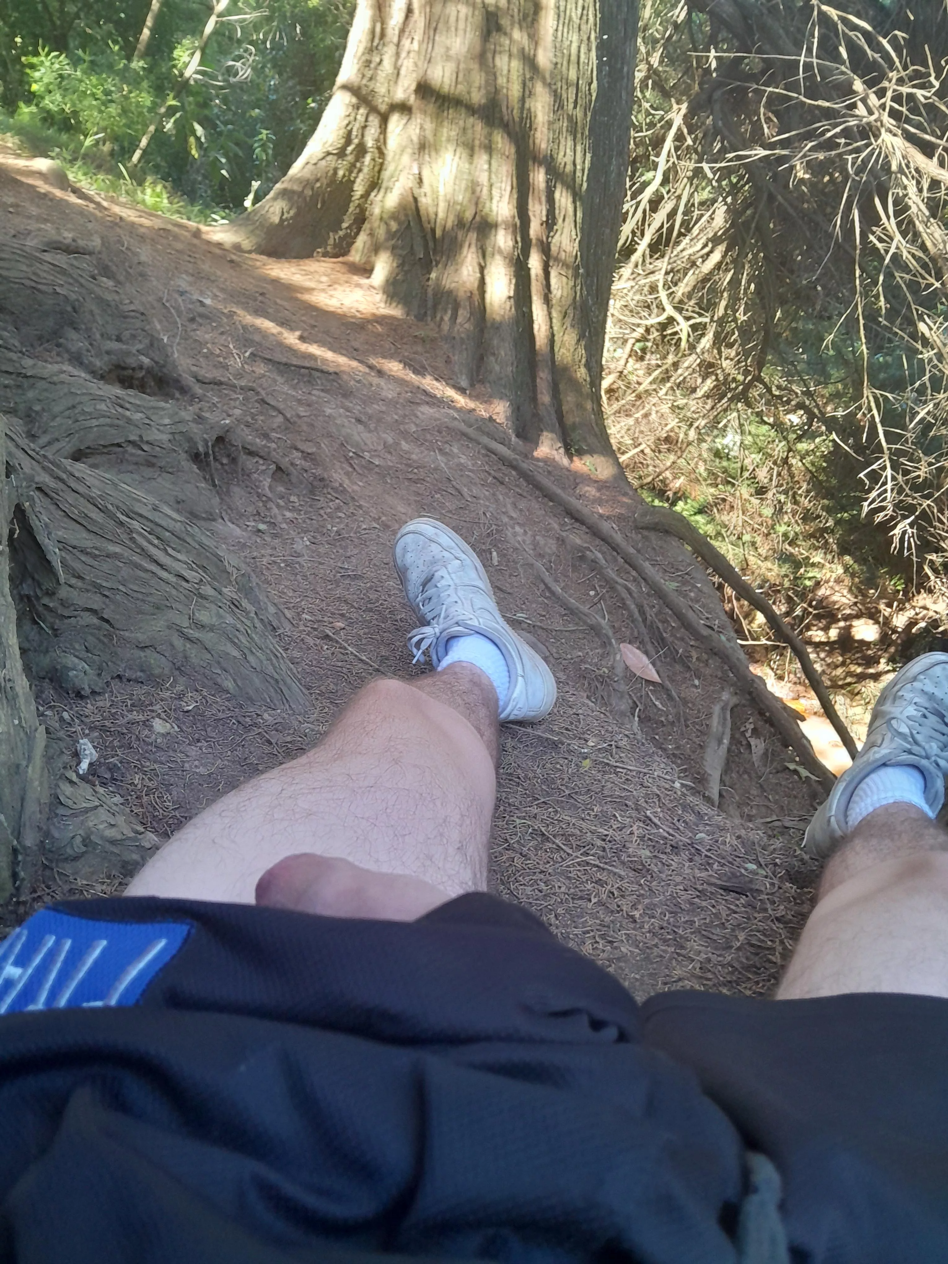 Slipped out posted by Ok-Calligrapher9485