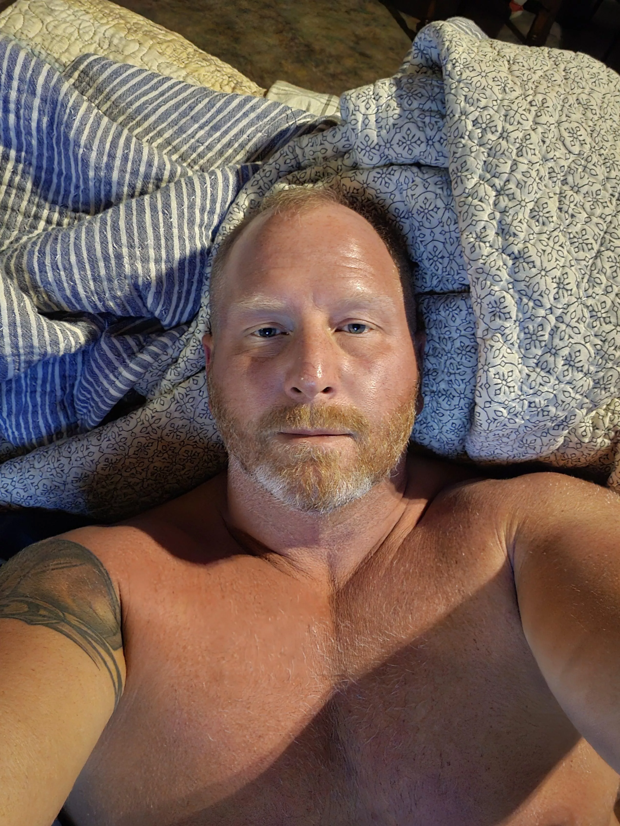 Sunday night cuddles? [50] posted by Individual-Fox5242