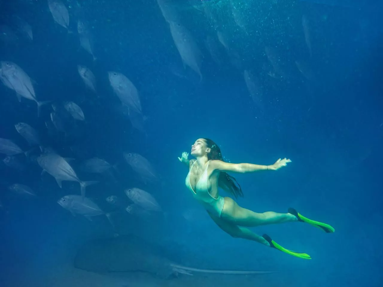 Swam with the fish today posted by Match_Medium257