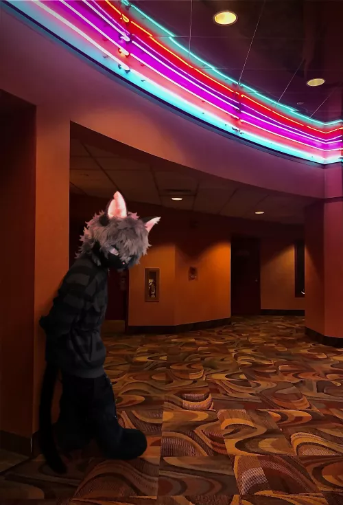 They said no pets allowed in the theatre, does that count for catboys? by milessoaceboy