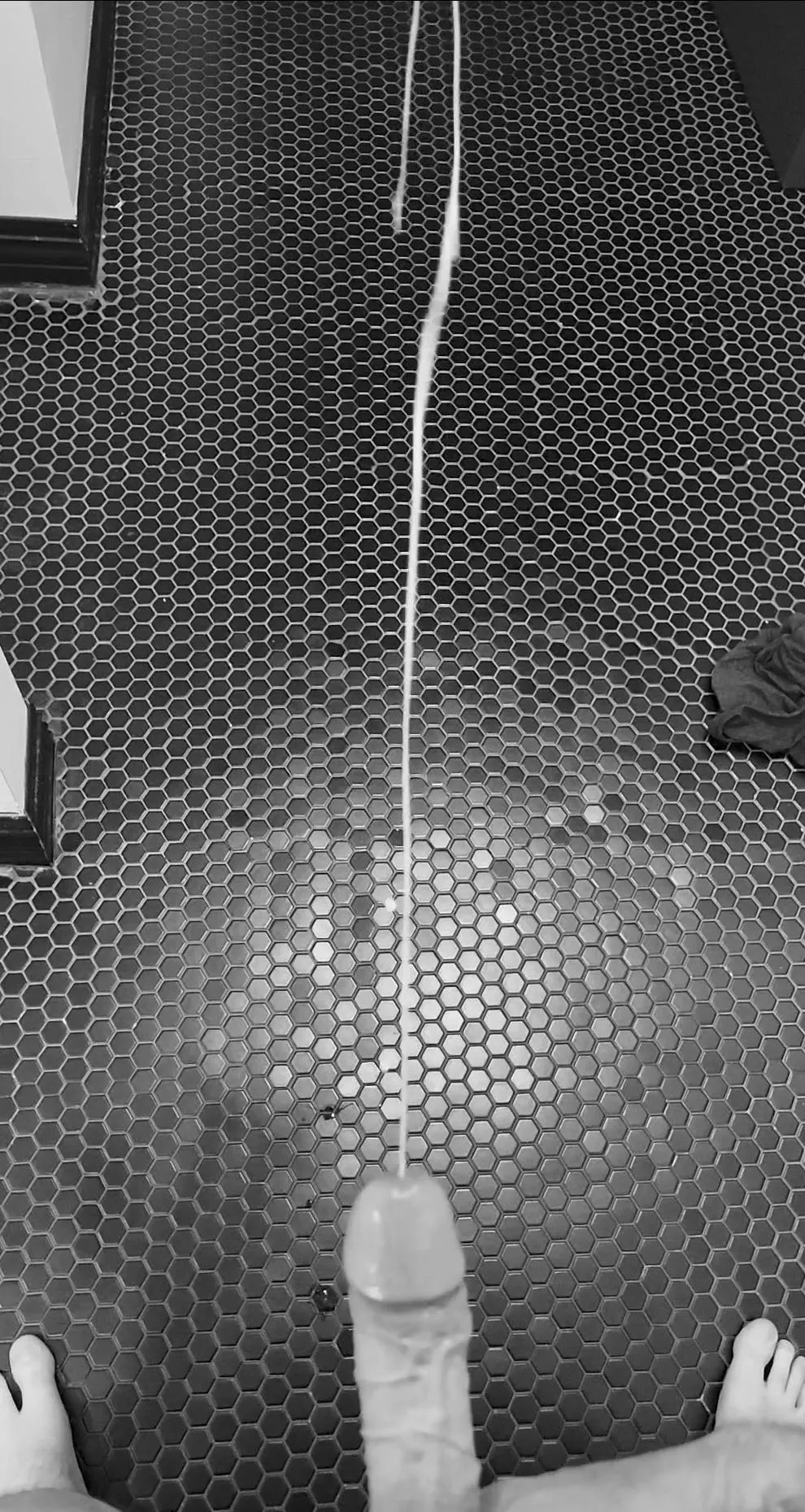 This might be a record for me...who can handle it?  posted by pokepapii