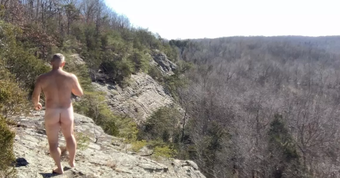 Warm enough in NC today for a hike. Will you join dad (56)? posted by aitor33