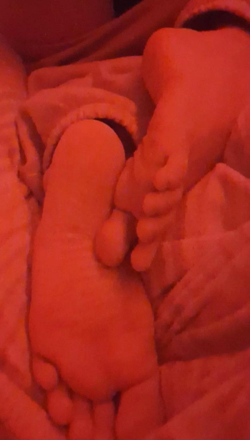 who would lick it? 🤤 posted by Altruistic-Expert595