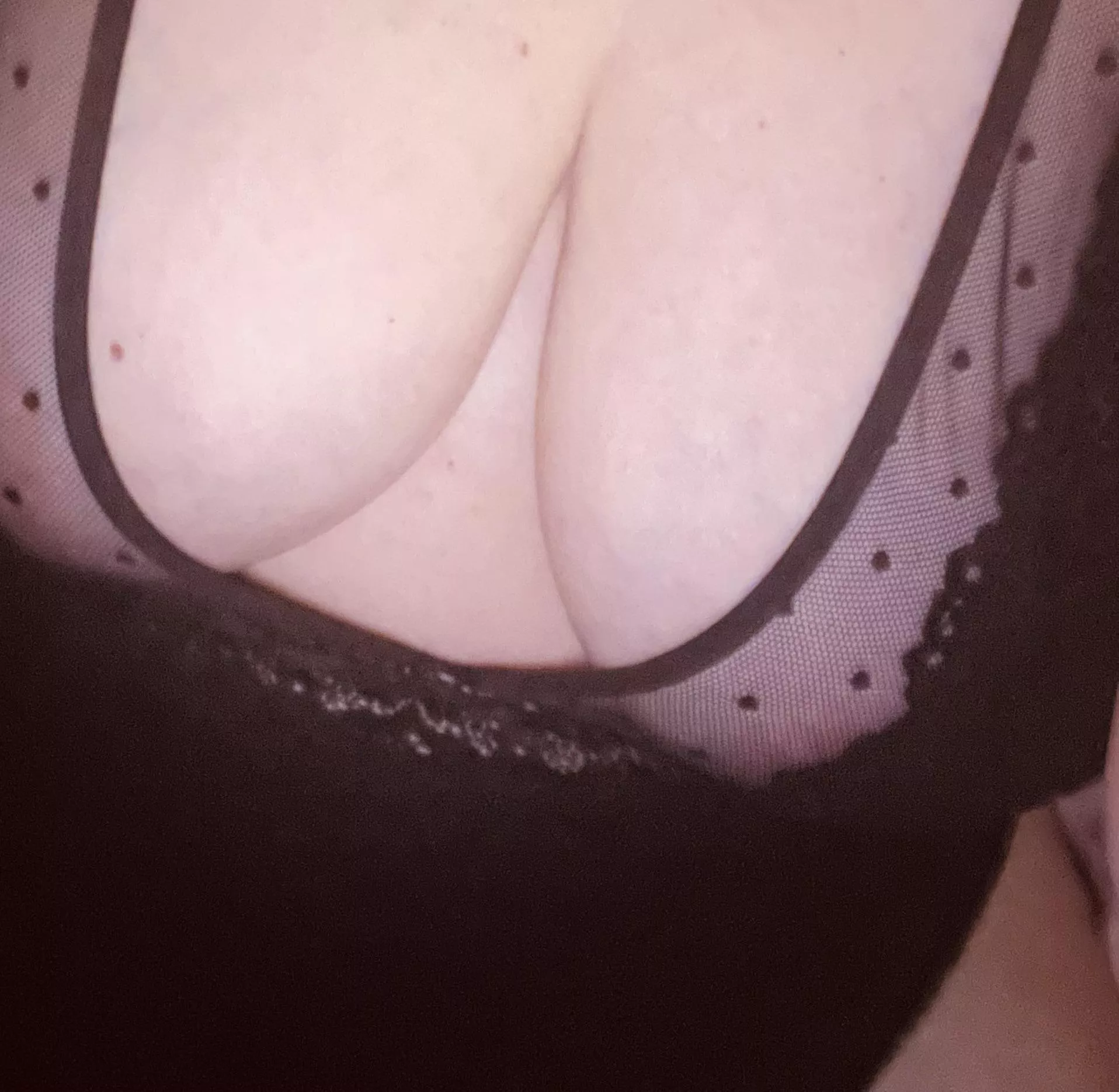 Wonder what I could fit in between ;) posted by Wild_Possibility5369