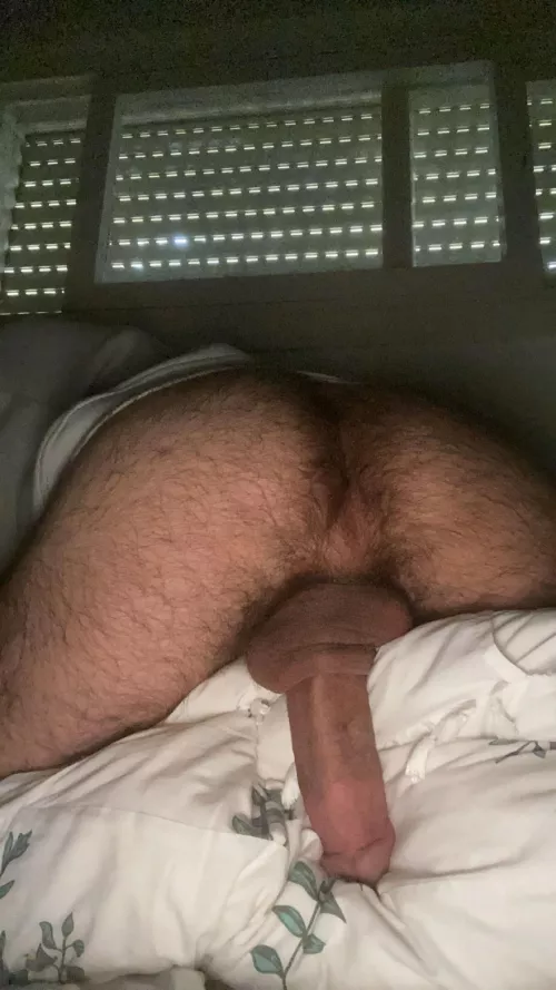 27 bi, big cocks only!! Sc: ficherd by AltruisticMeringue47
