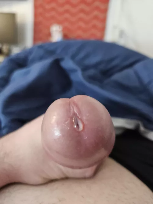 [46] by GreenWeenie03