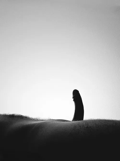 and what to even write here. by willgrahamthird