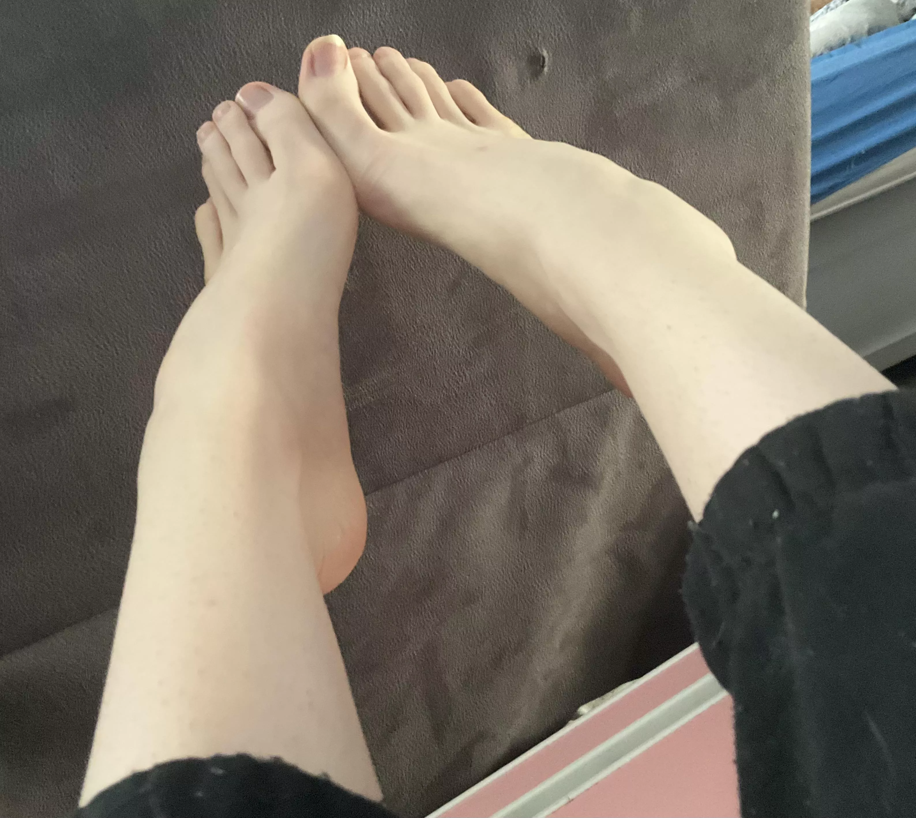 Bet you wish they were on your lap 💋 posted by MissPirait