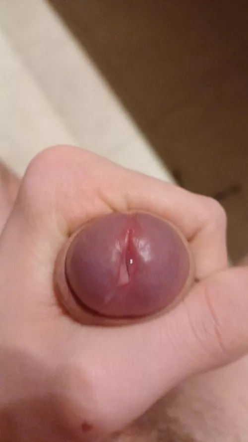 Bit of precum by Internal_Dragonfly56