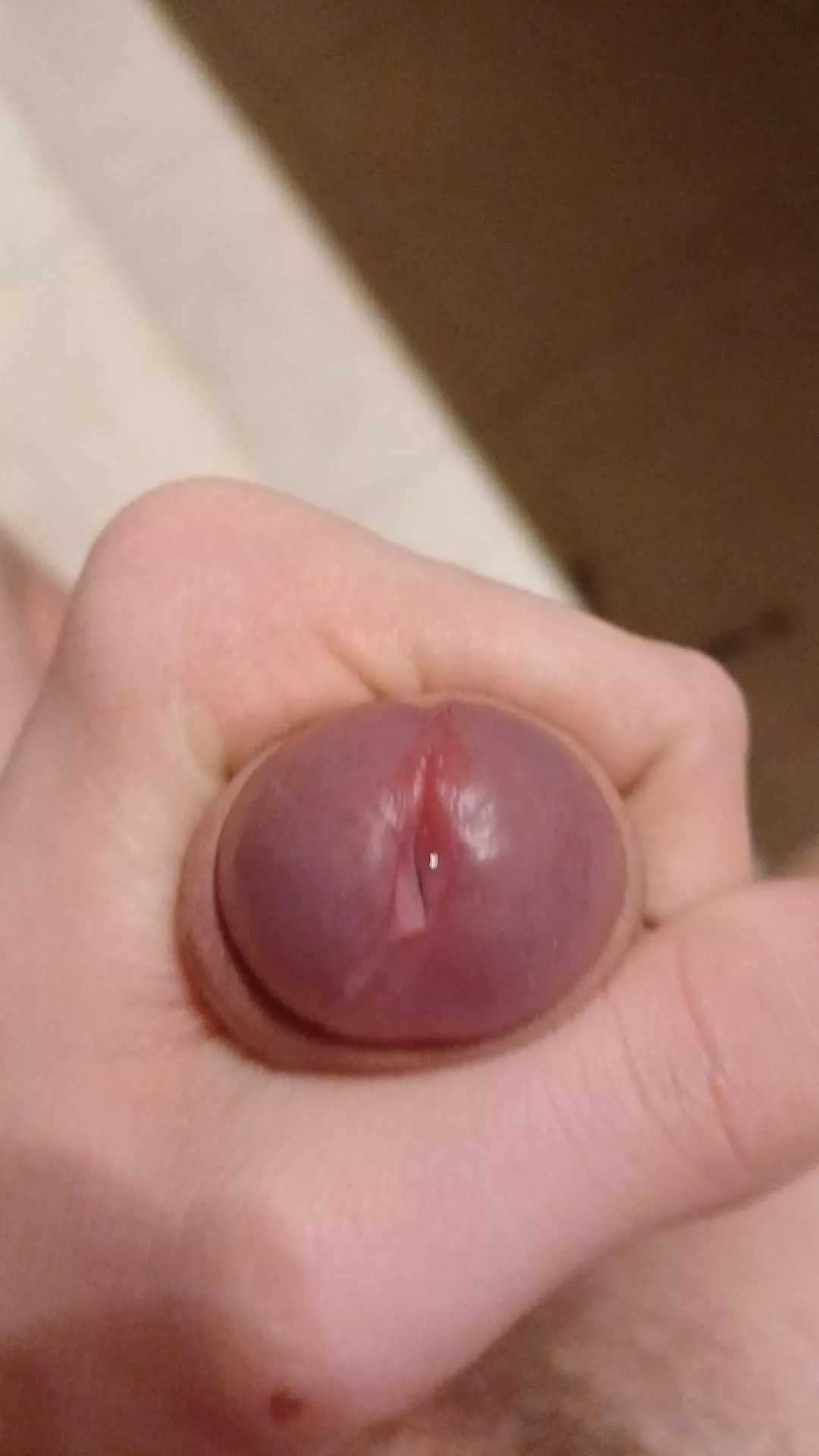 Bit of precum posted by Internal_Dragonfly56