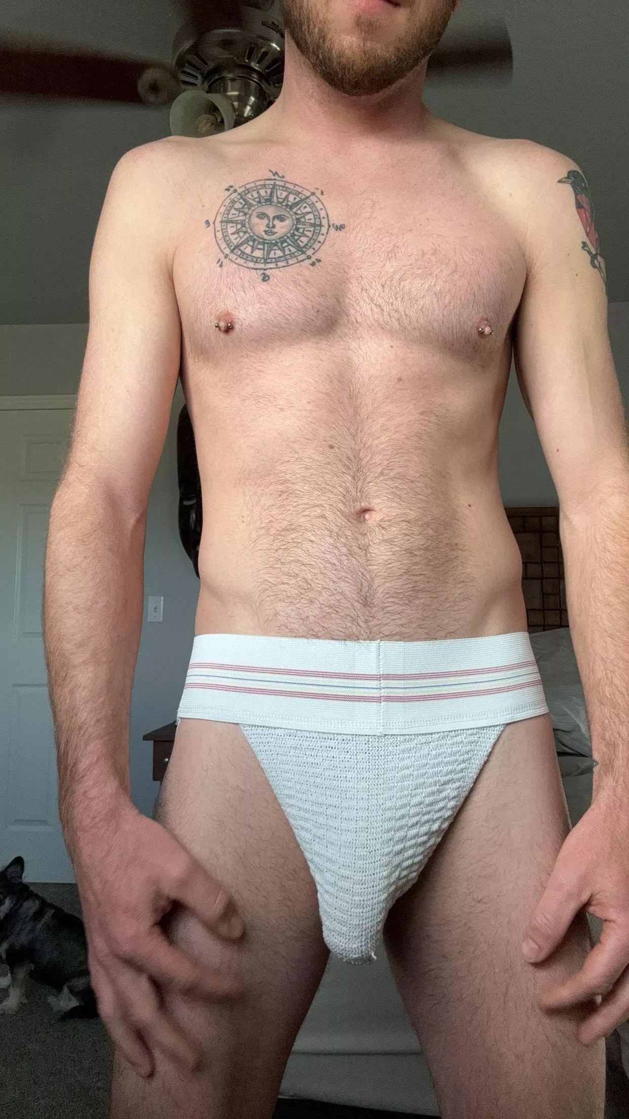 Can’t go wrong with a classic posted by avgbro-2