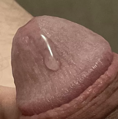 Close up  by cuddlemoose