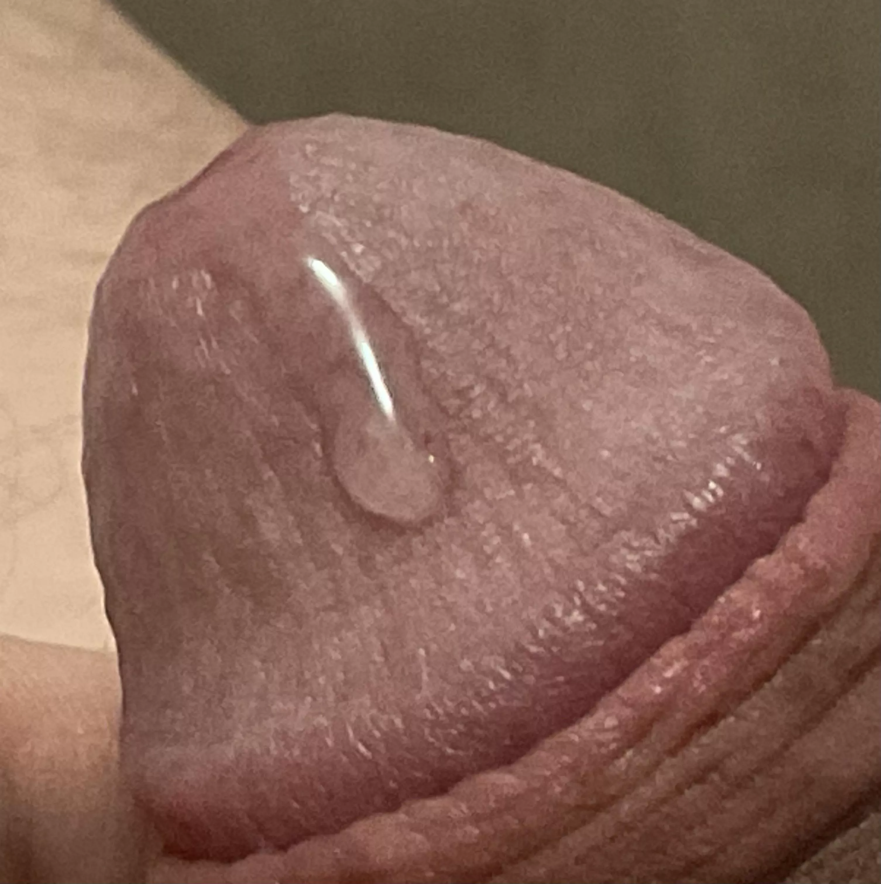 Close up  posted by cuddlemoose