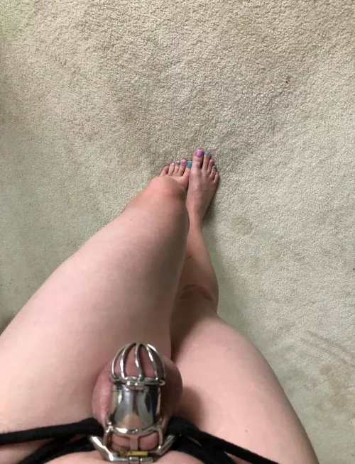 Crawl over here and kiss my toes by SissyBitchMichelle