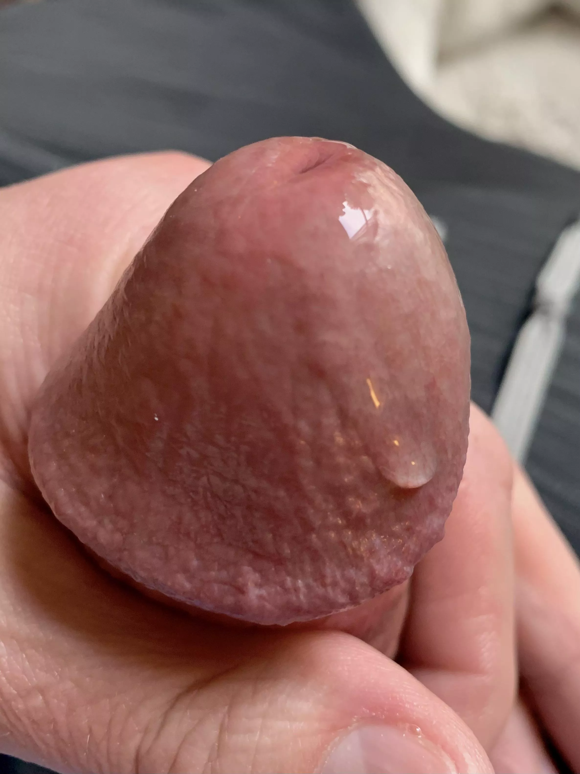 From scrolling the r/needysluts sub  posted by Toby1Nekobi