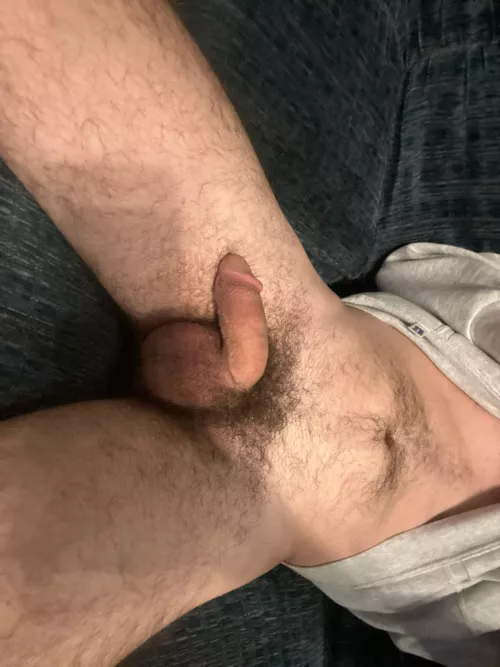 growing the bush back out by [deleted]