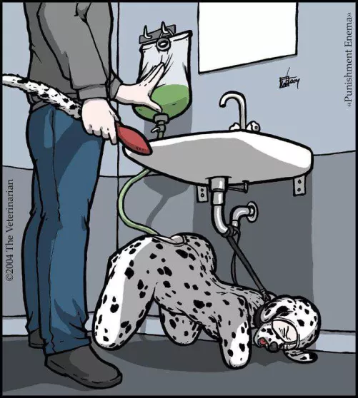 Help my pet to be cleaned  by Sir_Angelo_Intrigo