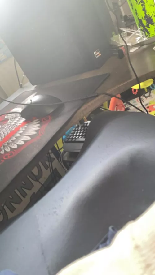 Hope I fit in by Responsible-Floor583