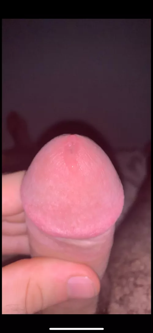 I love it when pre cum runs down my tip by ShadedAura