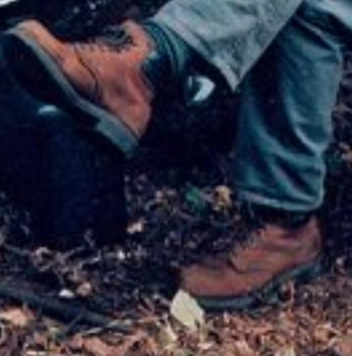 Identify posted by JurassicChaser-1993