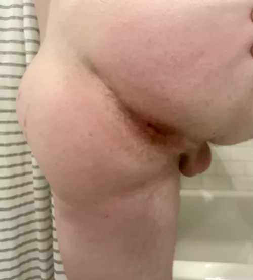 Looking for a hungry bear 😛 dm me by Turbulent-Moose-6405