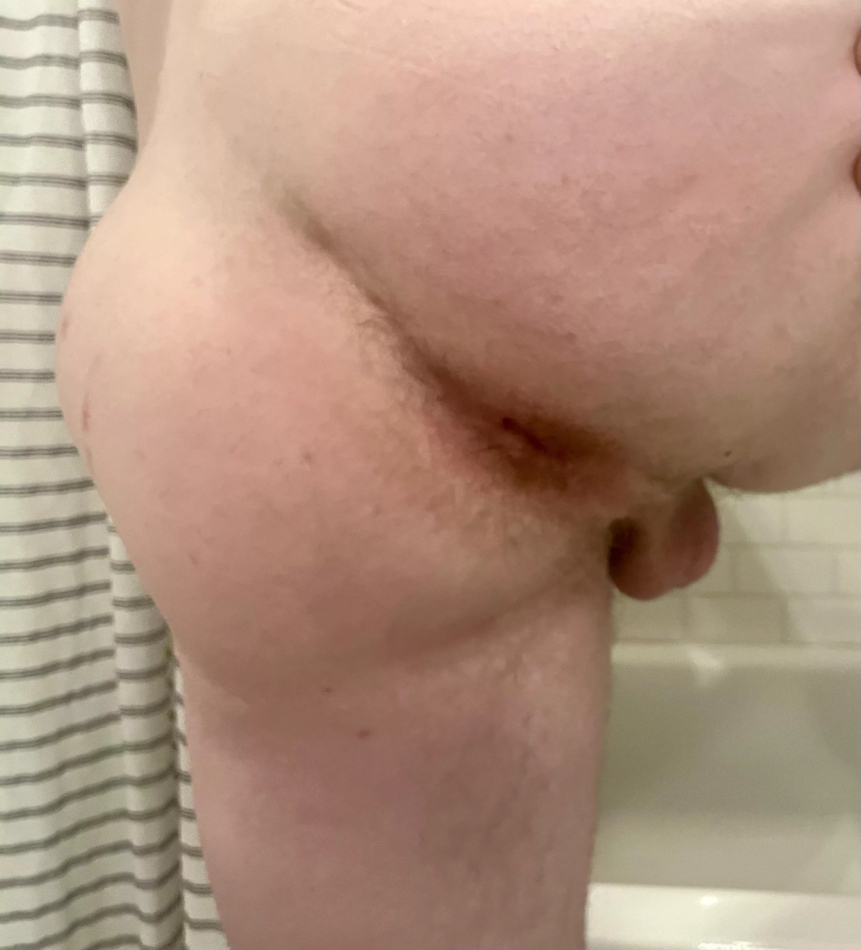 Looking for a hungry bear 😛 dm me posted by Turbulent-Moose-6405