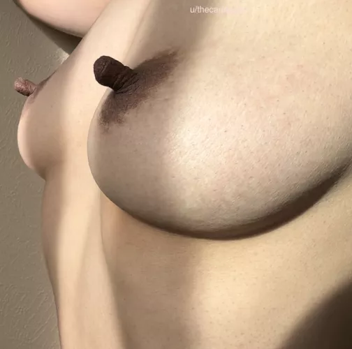 Milk chocolate and dark chocolate by thecaringdoc