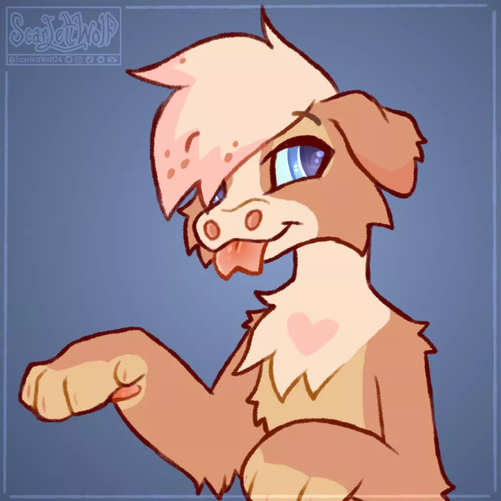 Pubby! 🐶💕 posted by scarlettwolf24