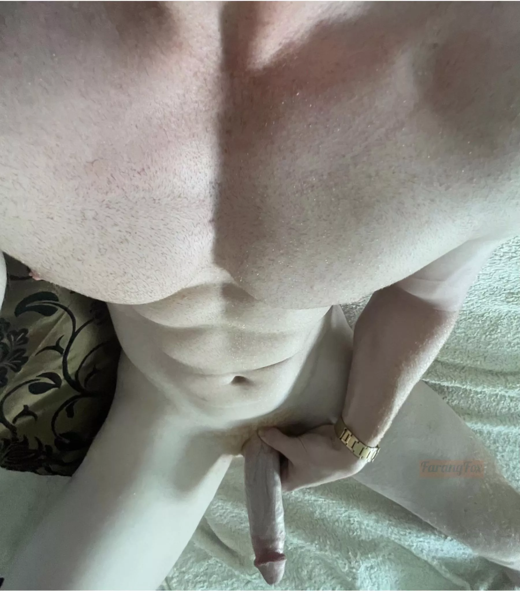 Ready to go down on a redhead? posted by FarangFox