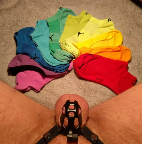 Sock-rainbow! On which socks should I cum next? Tell me which color should be sprayed with my pent up cum. Should I be wearing them while cumming on them? by cumming_socks
