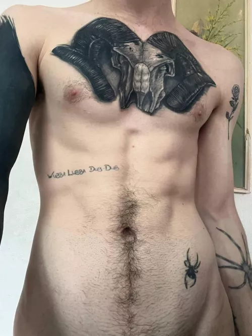 Thinking of adding to the ribs  by Acrobatic-Bake2084