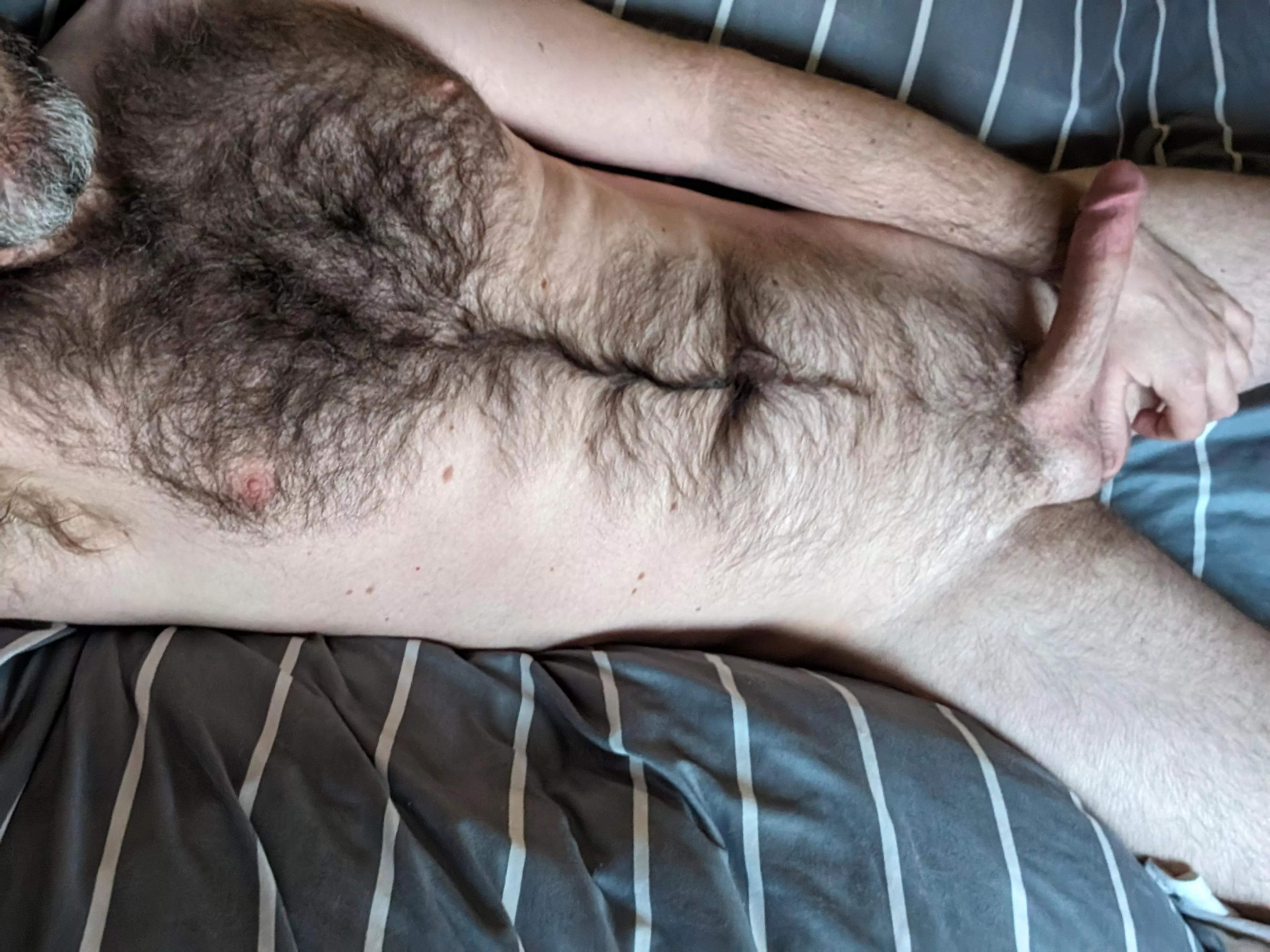 Thinking of trimming... 🤔 posted by Streethawk00