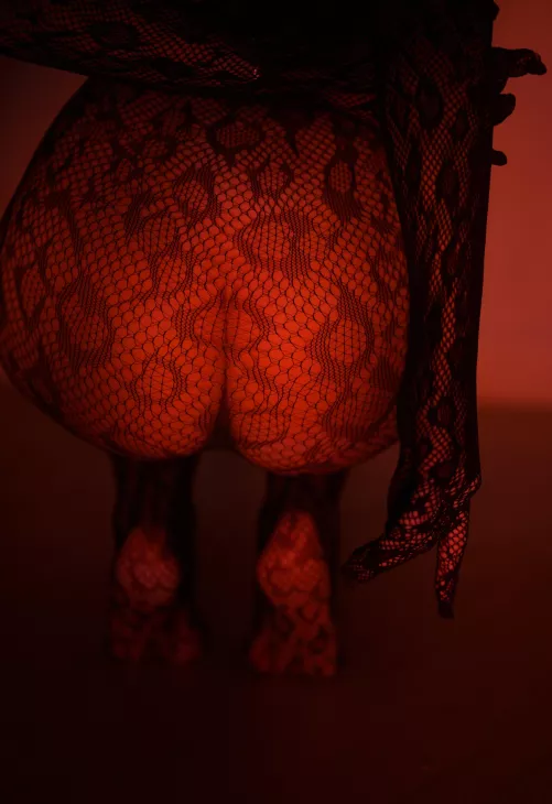 This wild cat will show you what passion is by GooeyRitz42