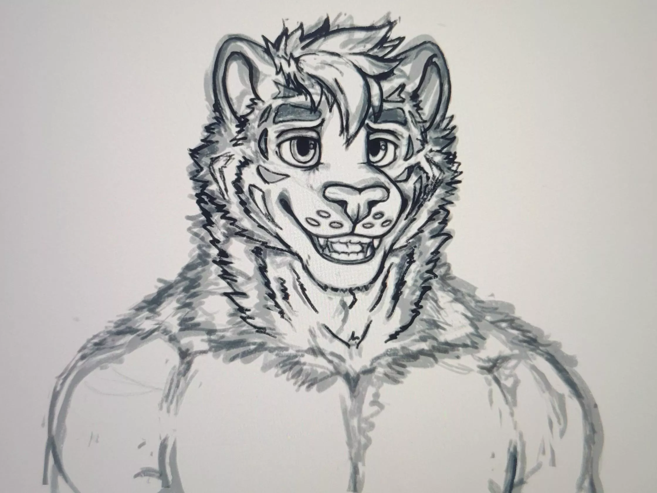 Tiger sona commission progress! Never drawn a tiger before 😭 posted by BulletDraws