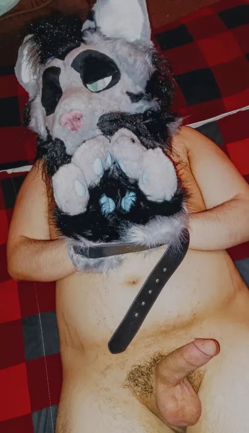 Well, you captured me... What now?  by Raddlythe3rd