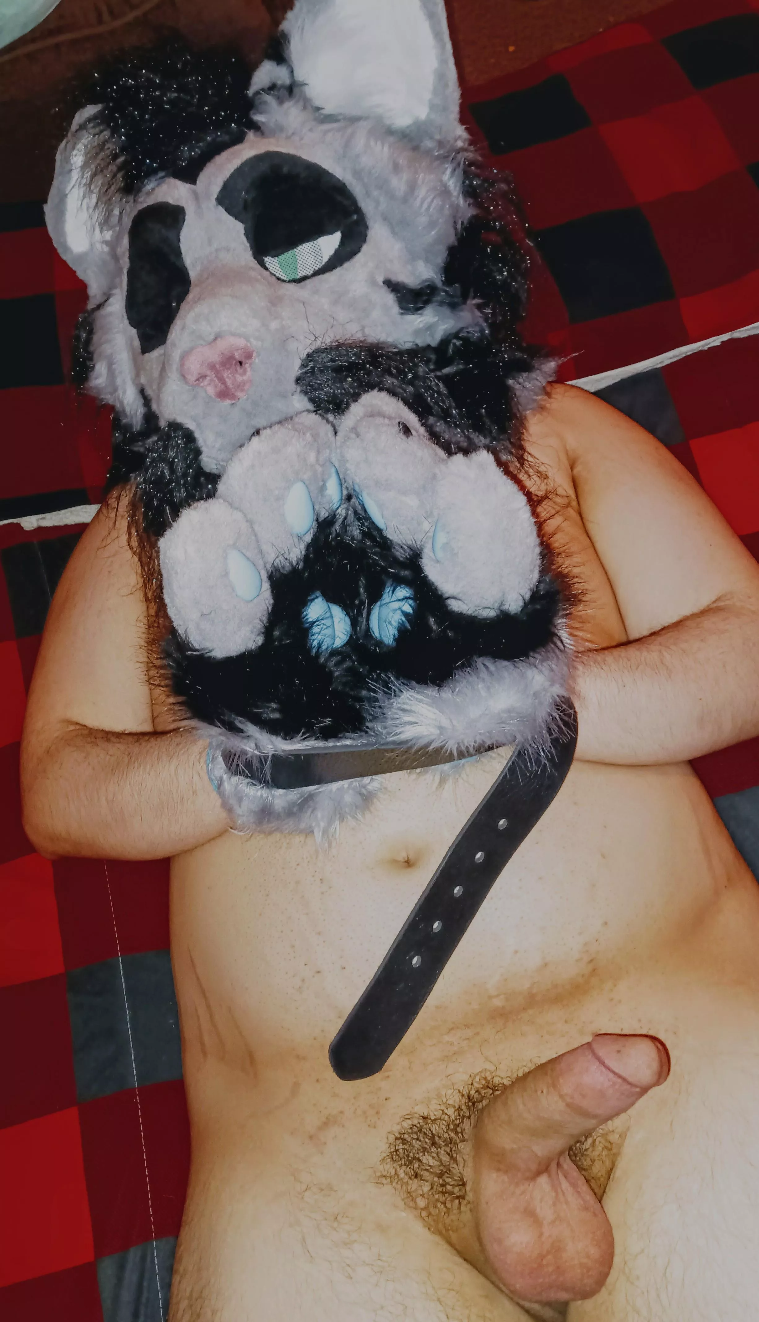 Well, you captured me... What now?  posted by Raddlythe3rd