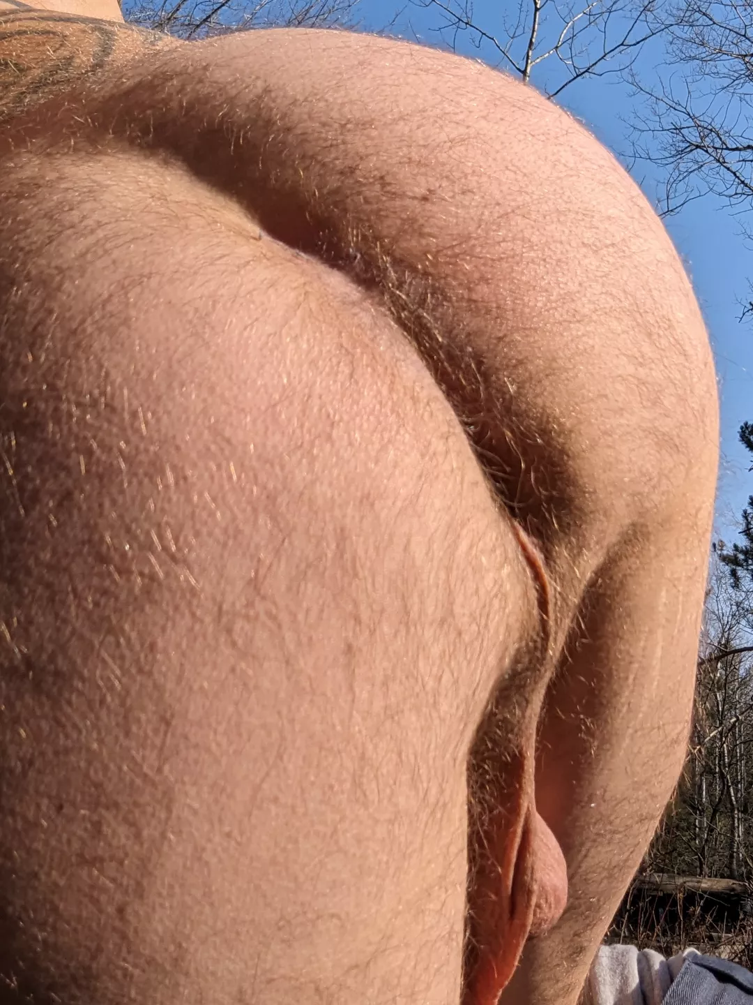 What a beautiful day posted by hardworkin8