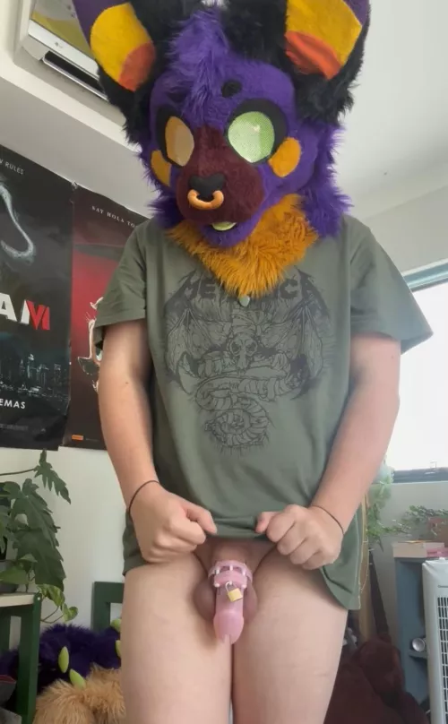 What do you guys think of the fit? by Fun_Crow_3479